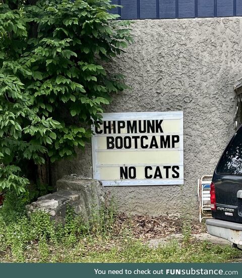 Not even Drill Instructor Mittens?