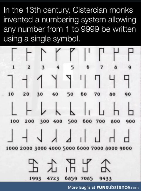 Successful plumb canine