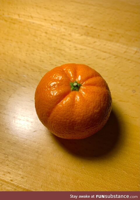 [oc] a photogenic mandarin