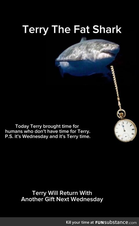 There's Always Time for Terry