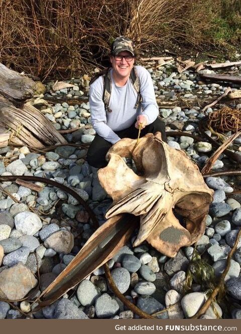 Not something you find on the beach everyday