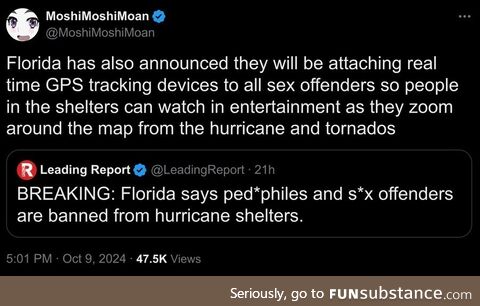 Stupid dazzled secretive