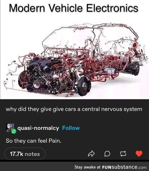 Plain glamorous happy-go-lucky