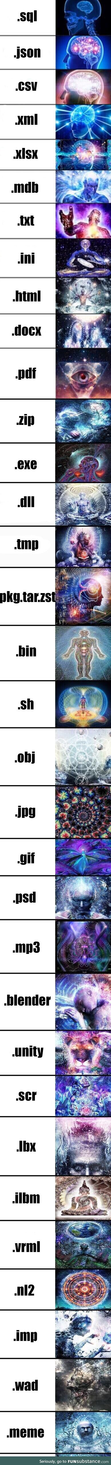 bestFileFormatsToStoreADatabase