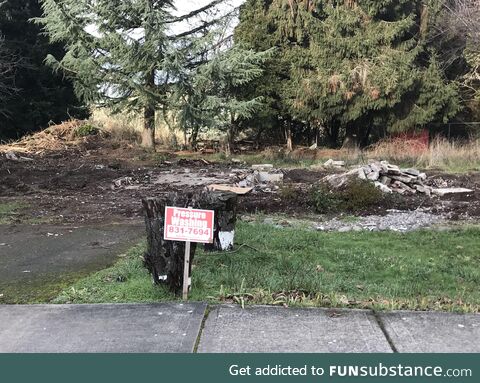 Saw an ad for a pressure-washing business