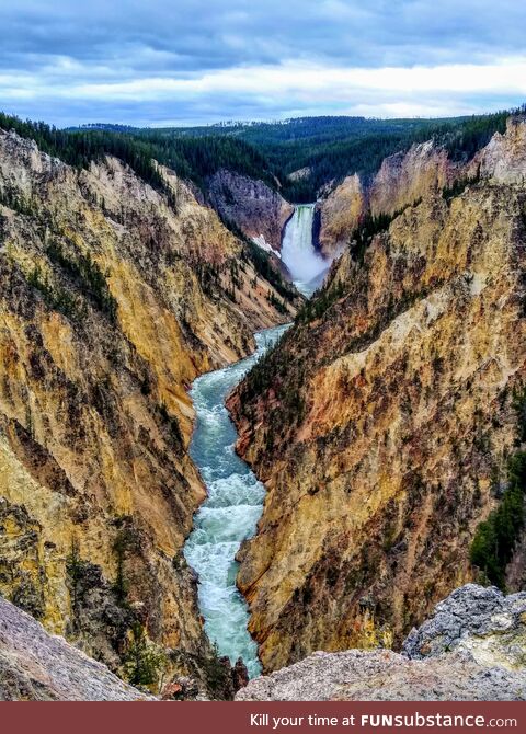 The "Grand Canyon" of Yellowstone