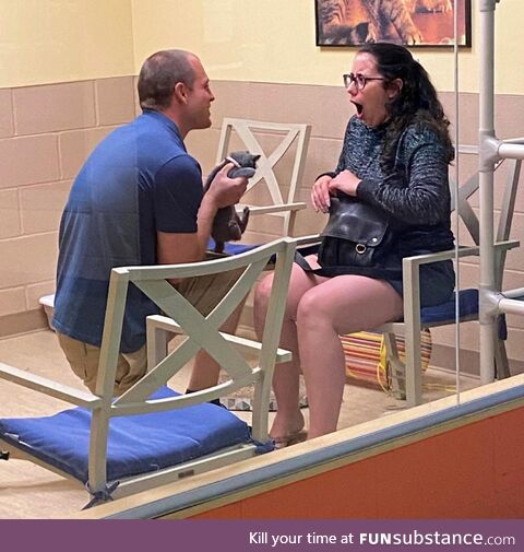 Man feeds hungry wife a tiny kitten