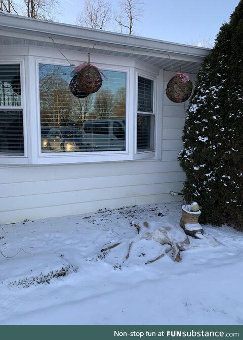 Didn’t notice until after the family came over for Christmas…