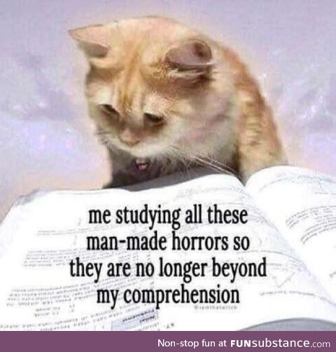 Welcome to the future