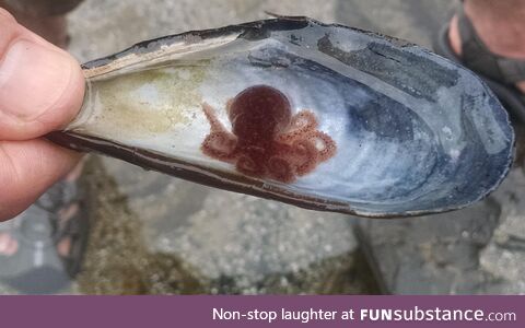 Tiny tentacled friend