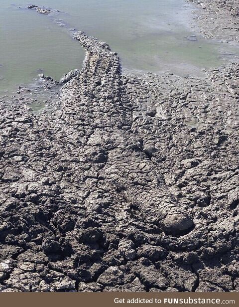A crocodile partially submerged