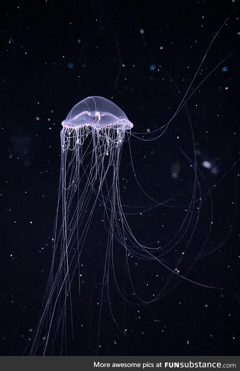 Monterey bay aquarium - 05/13/2023
