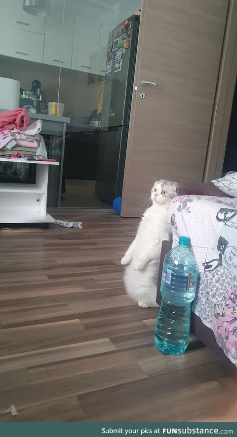 Tf are they doin' over there