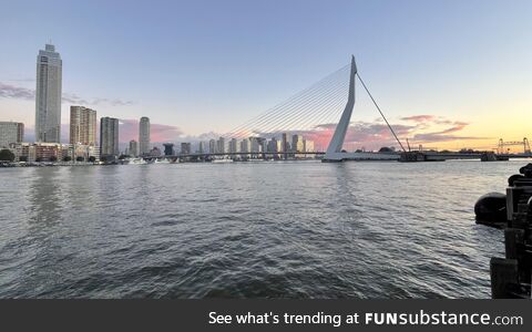 Meet my city: Rotterdam
