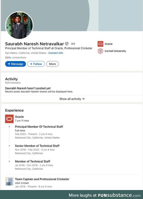 whoSaysAmericanProgrammersCantPlayCricket