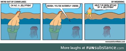 Stung by a jellyfish