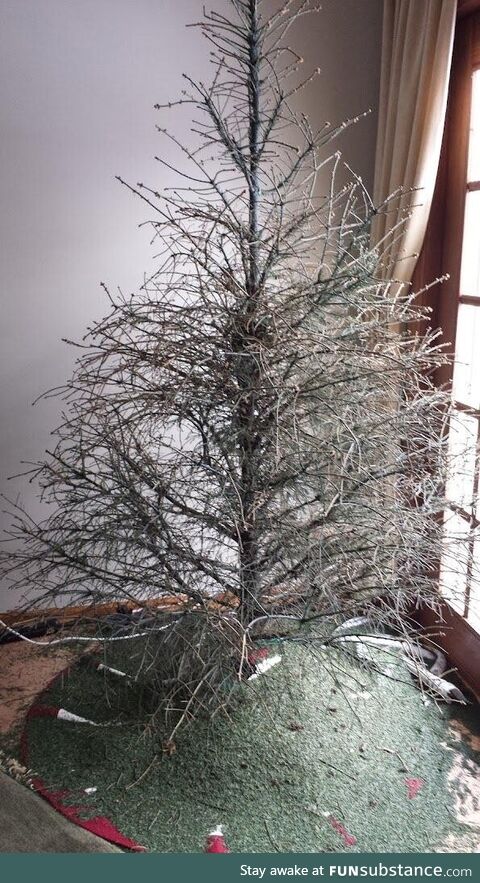 I think it's time to get rid of the Christmas tree