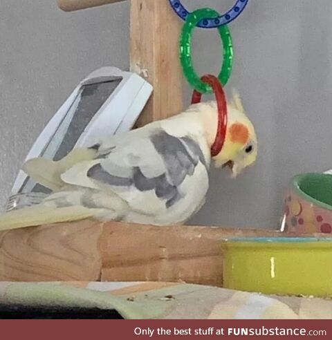 Unforgivable protracted smouldering