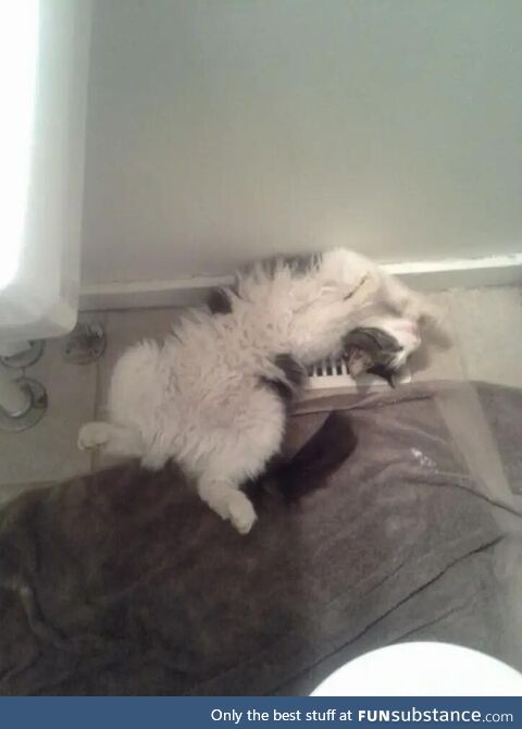 Cold Kitty? Problem solved