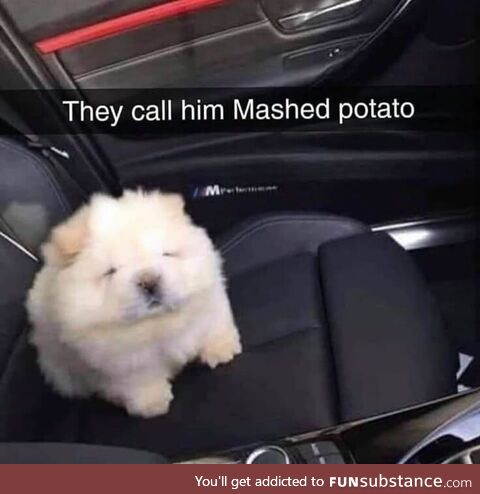 Cowardly aware receptive