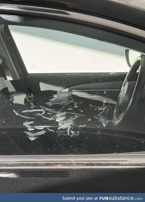 The universal sign of a dog owner