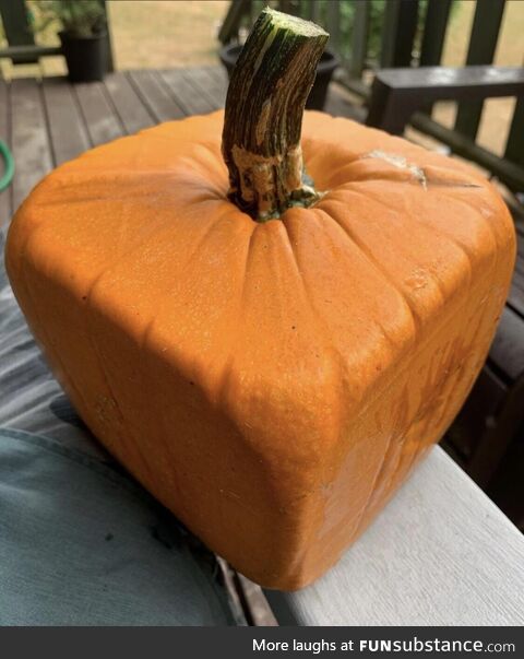 This square pumpkin