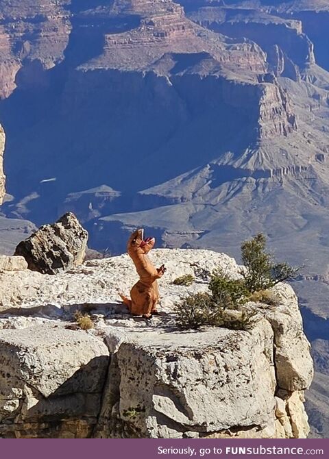 Some times you go to the grand canyon and see an extinct species... On a cliff