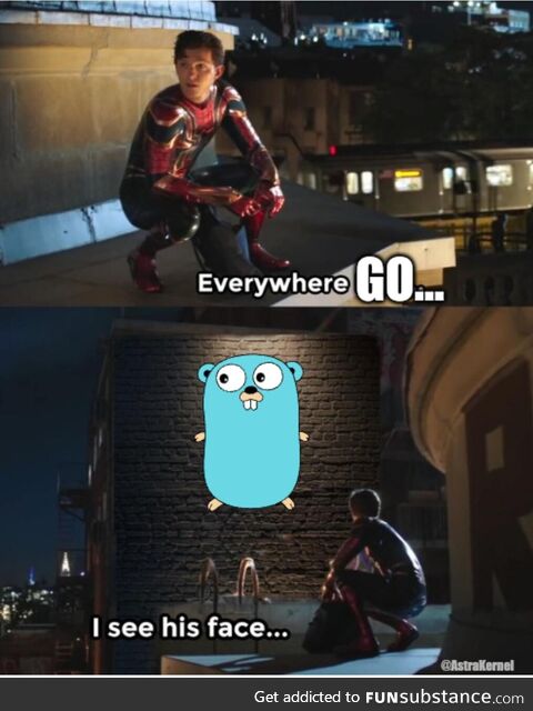 everywhereGoISeeGopher