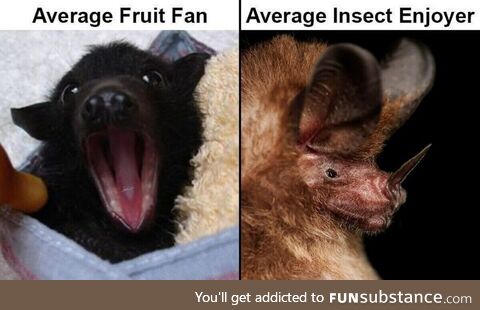 Luckless drunk nitrous