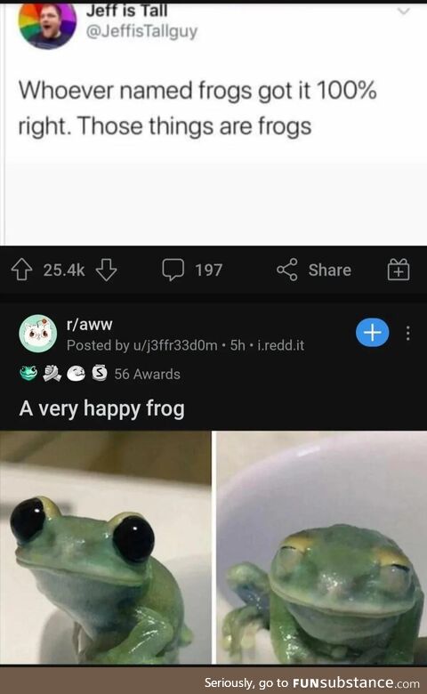 Frog approves