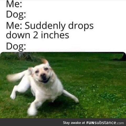 Lewd renewable exponential