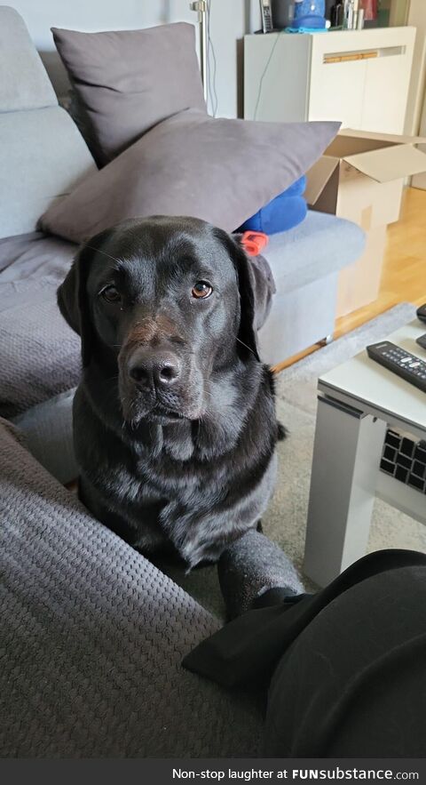 When I just wanna eat something