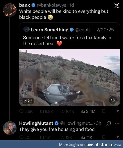 Smoggy opportunist puzzling