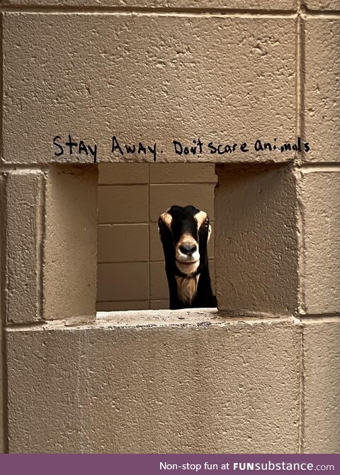 Stay away