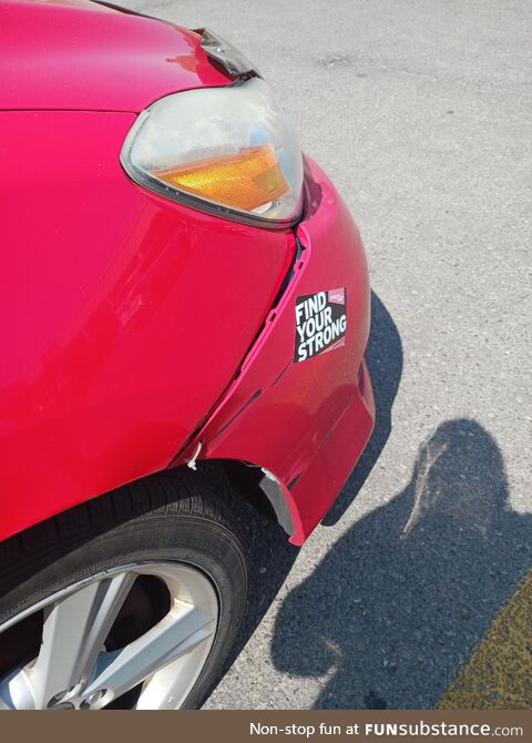 Hang in there little buddy