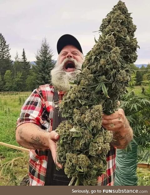 When you're only allowed 5 plants