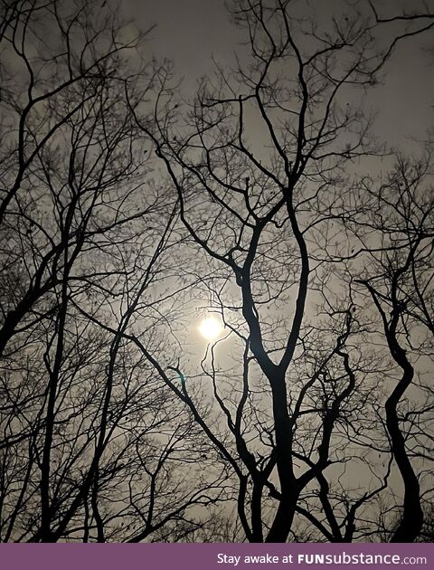 Freezing moon…