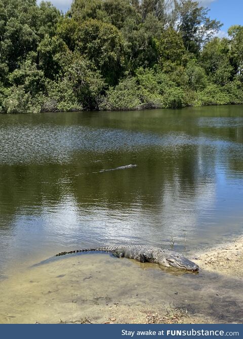 My local fishing hole