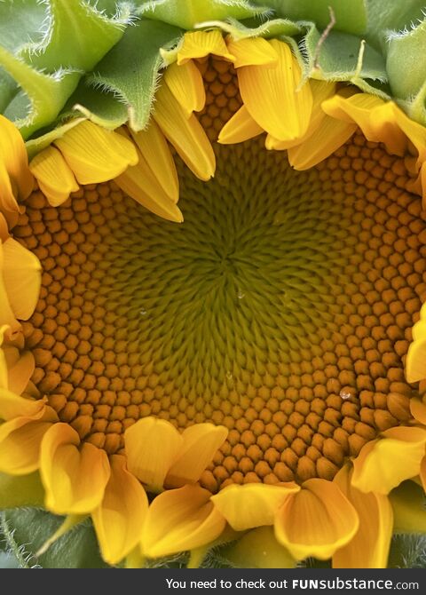 Volunteer by our front door