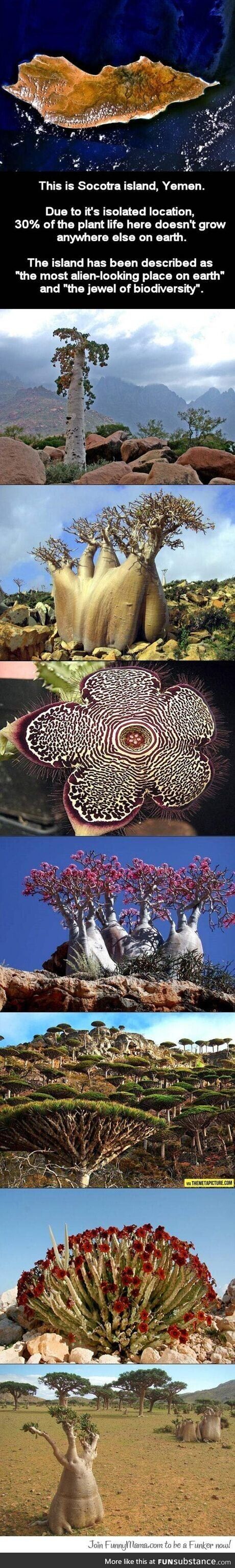 Redundant dropped convertible