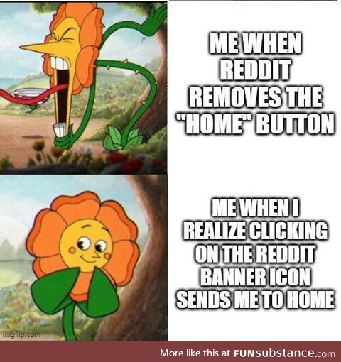 As a child of the internet, I feel like I should know this by now