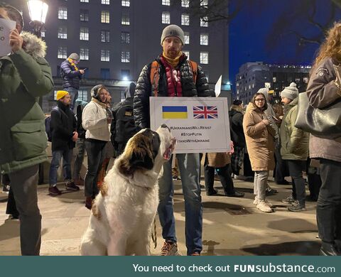 Goodest boy doing his part too!