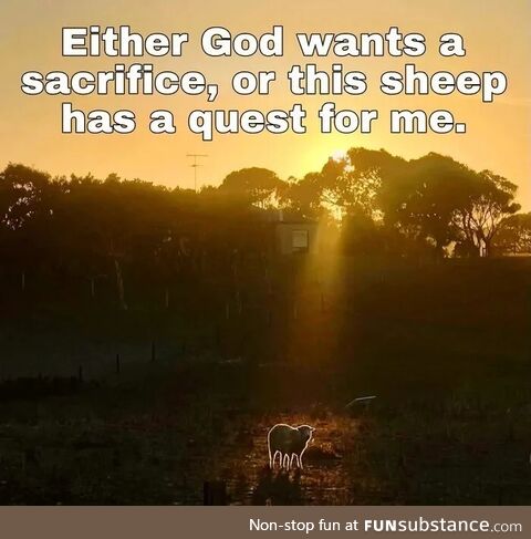 Tiny bounded verifying