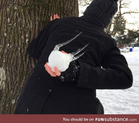 Best/worst snowball ever
