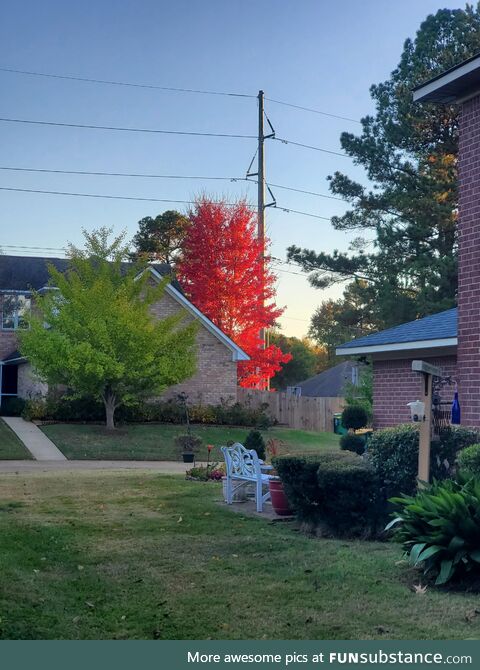 Yesterday around 4:30-ish, Beautiful red.... Had to share