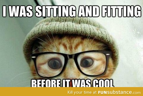 Hipster cat