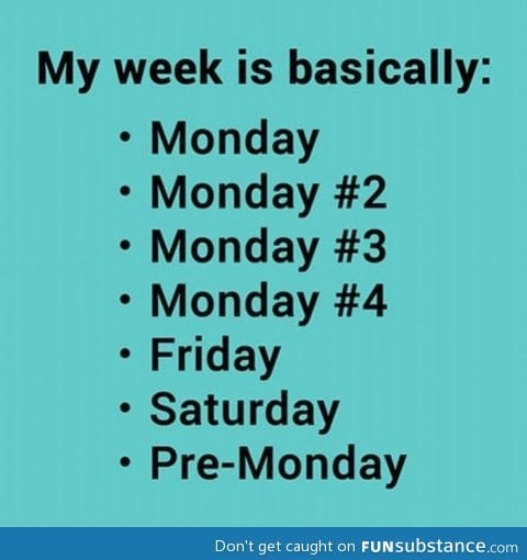 My week is basically...