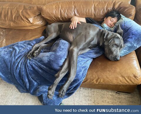 The Beast and the Maiden