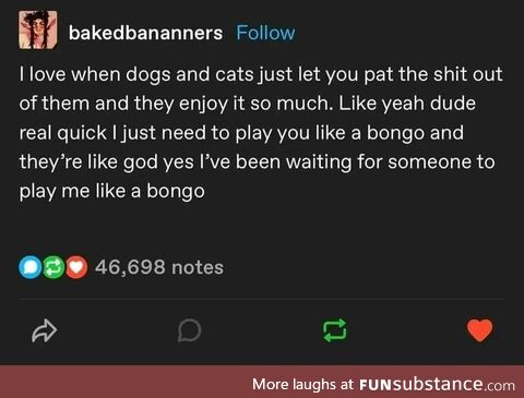 Destroy the furballs with aggressive petting