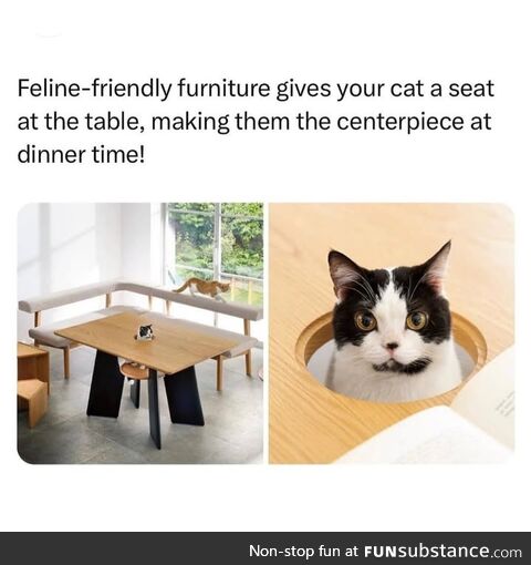 Always the centre of attention